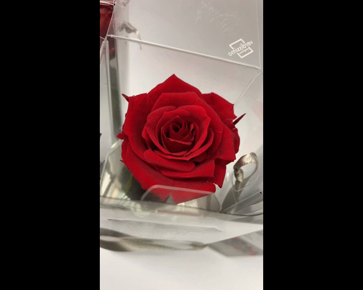 geschenkelaedchen-ewige-rose